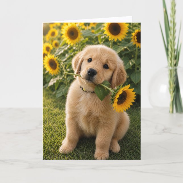 Carte A&B Benny Tournesol (Devant)