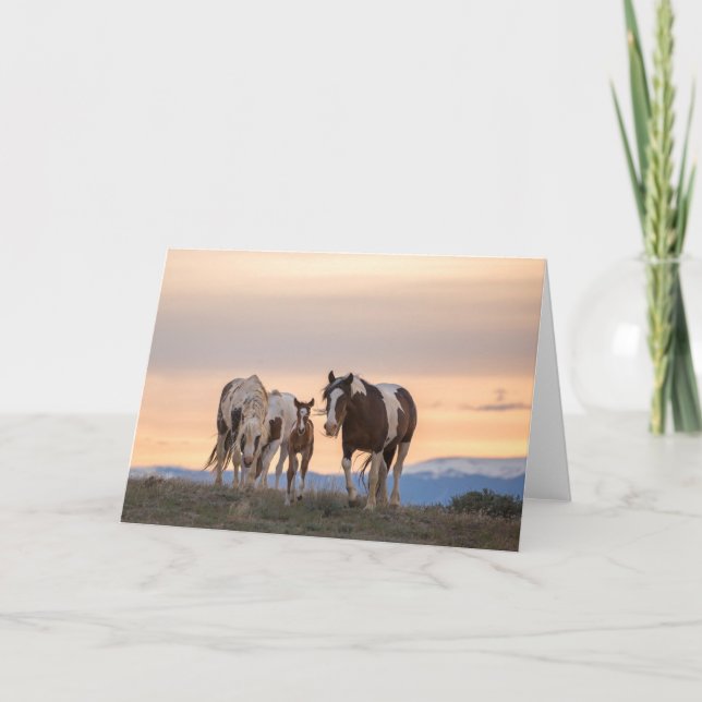 Carte à billets "Bienvenue dans le monde" (Devant)