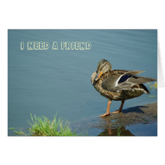 Carte à canard