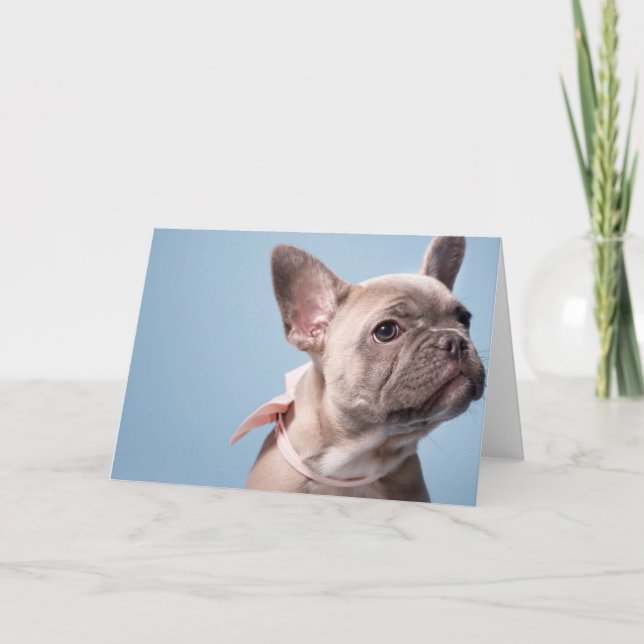 Carte A Cute French Bulldog (Devant)