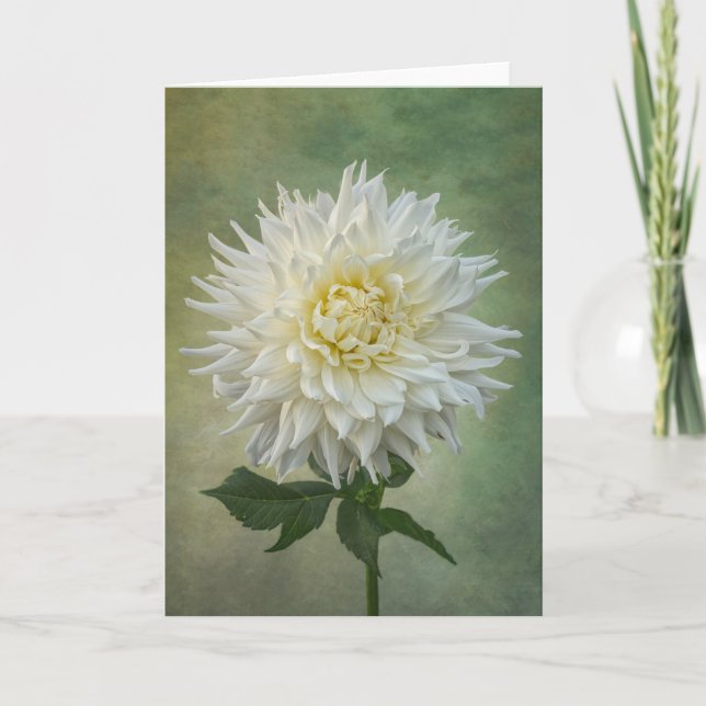 Carte à fleurs blanches uniques (Devant)