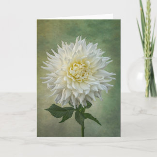 Carte à fleurs blanches uniques