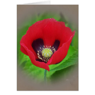 Carte à fleurs de Poppy