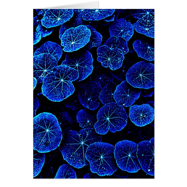Carte à fleurs feuilles de Nasturtium bleu (Devant)