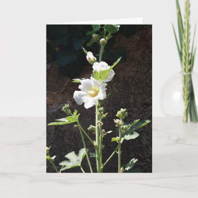Carte à fleurs Hollyhocks (Devant)