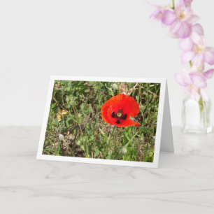 Carte à fleurs Red Poppy