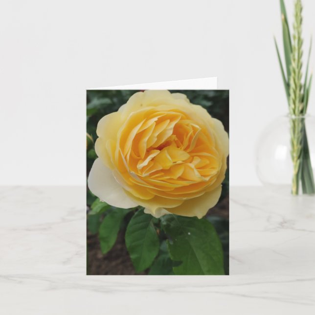 Carte à fleurs rose jaune (Devant)