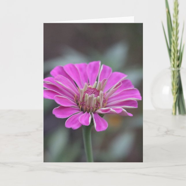 Carte à fleurs rose Zinnia 5 x 7 (vide à l'intérie (Devant)