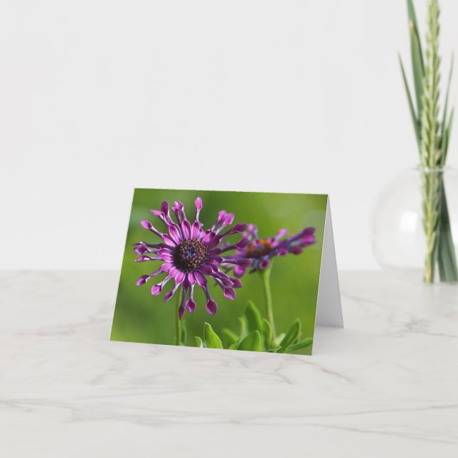 carte à fleurs violettes (Devant)
