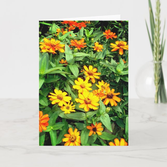 Carte à fleurs Zinnia. Jaune, orange et vert. (Devant)