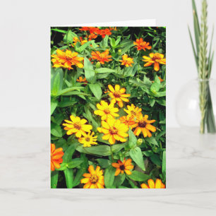 Carte à fleurs Zinnia. Jaune, orange et vert.