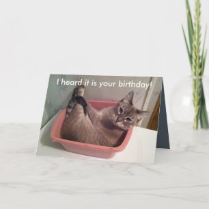 Carte A Funny Cat Birthday Card 5X7