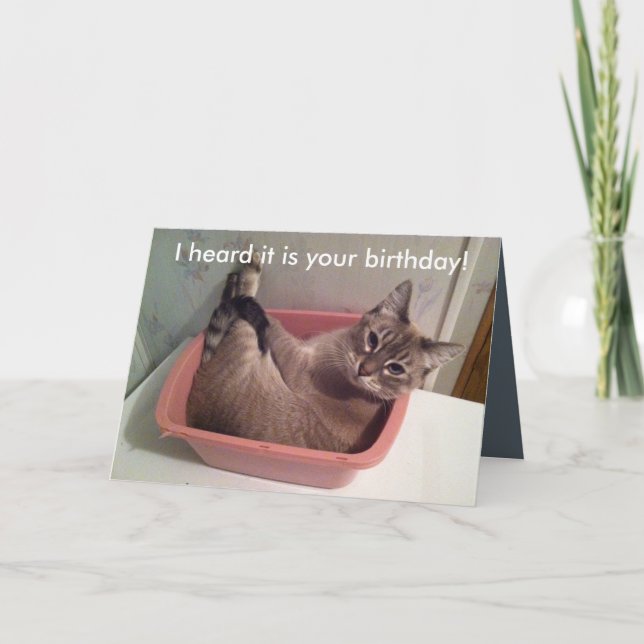 Carte A Funny Cat Birthday Card 5X7 (Devant)