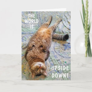 Carte À L'Hauteur Du Chat Vous Manque