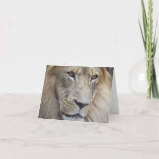 Carte A Lion's Stare