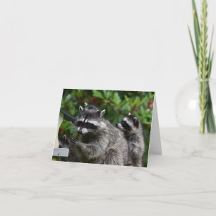 Carte A Mama Raccoon et son bébé