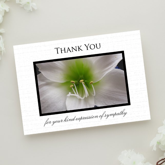 Carte à Merci en Sympathy - Amaryllis (Créateur téléchargé)