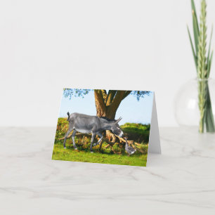 Carte à notes "Young Eno & Henri"