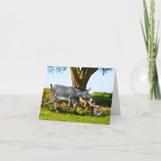 Carte à notes "Young Eno & Henri"