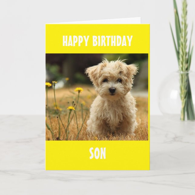 CARTE À NOTRE FILS POUR VOTRE ANNIVERSAIRE ! (Devant)
