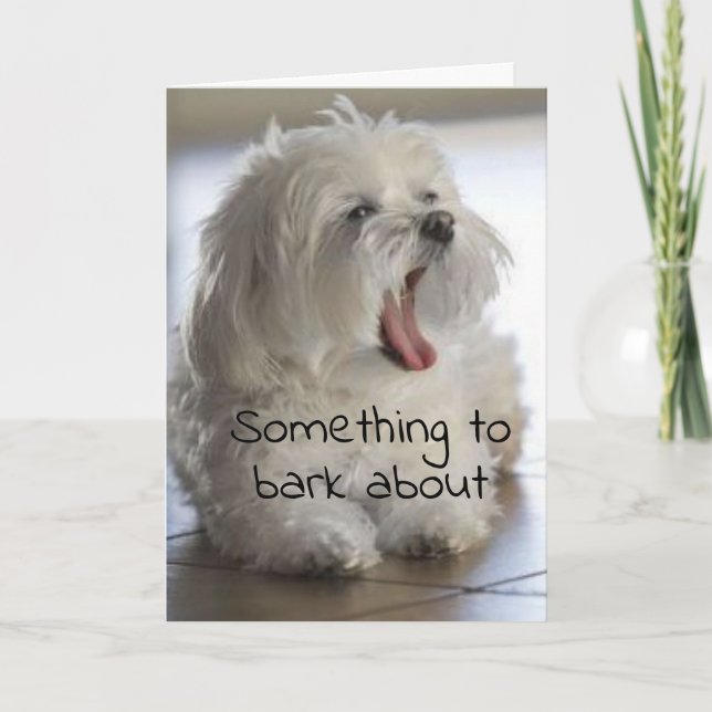 CARTE A ***NOUVEAU EMPLOI*** FÉLICITATIONS À "VOUS" (Devant)