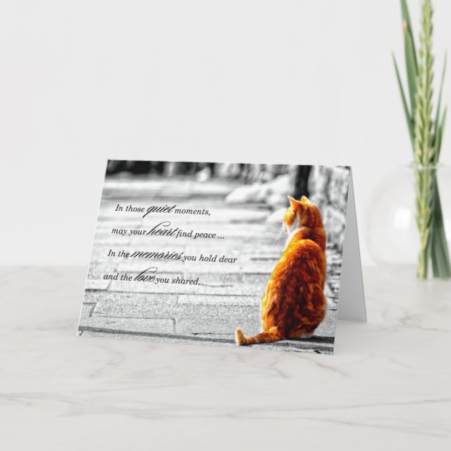Carte A-PAL - Orange Tabby Chat Pet Sympathie (Devant)