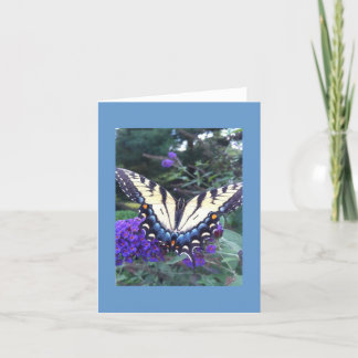 Carte à papillon Swallowtail 2