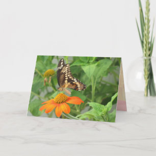 Carte à papillon Swallowtail géant