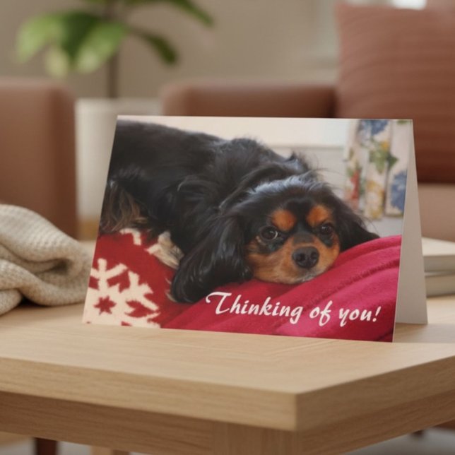 Carte À penser à vous Amateur de chiens Cavalier King Ch (Créateur téléchargé)
