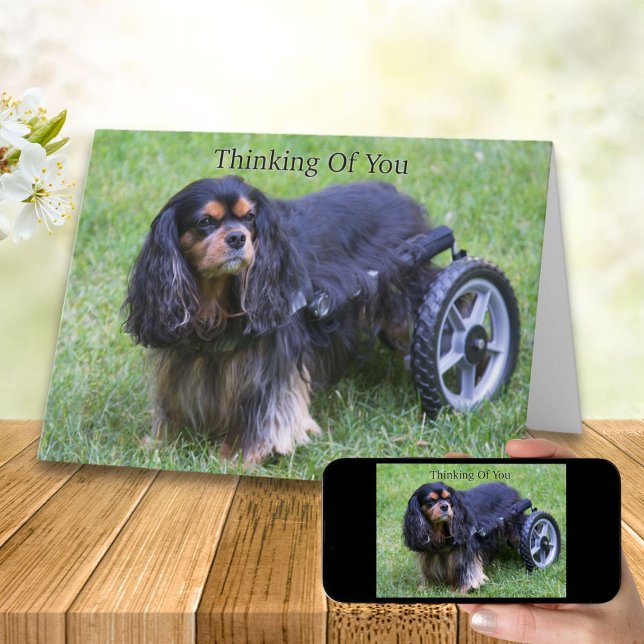 Carte À penser de vous Cavalier King Charles Handicap C (Créateur téléchargé)