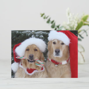 Carte à plat de Noël Golden Retrivers