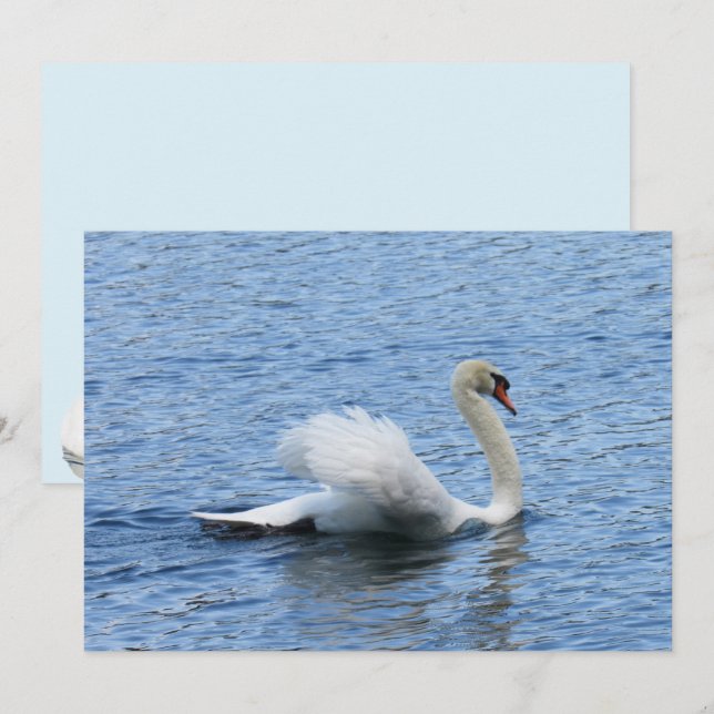 Carte à plat Gracity Swan Photo (Devant / Derrière)