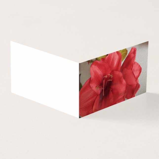carte à plat rouge faire-part de mariage amaryllis (Outside)