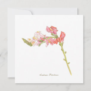 Carte à plat Snapdragon