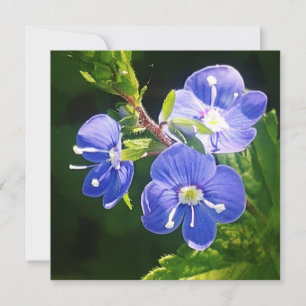 Carte à plat Trois Fleurs Bleues