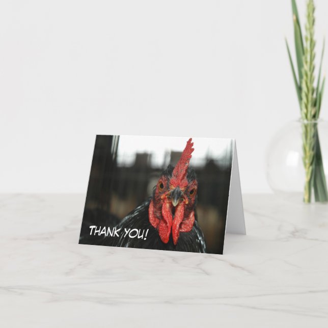 CARTE À POULET : Merci (Devant)