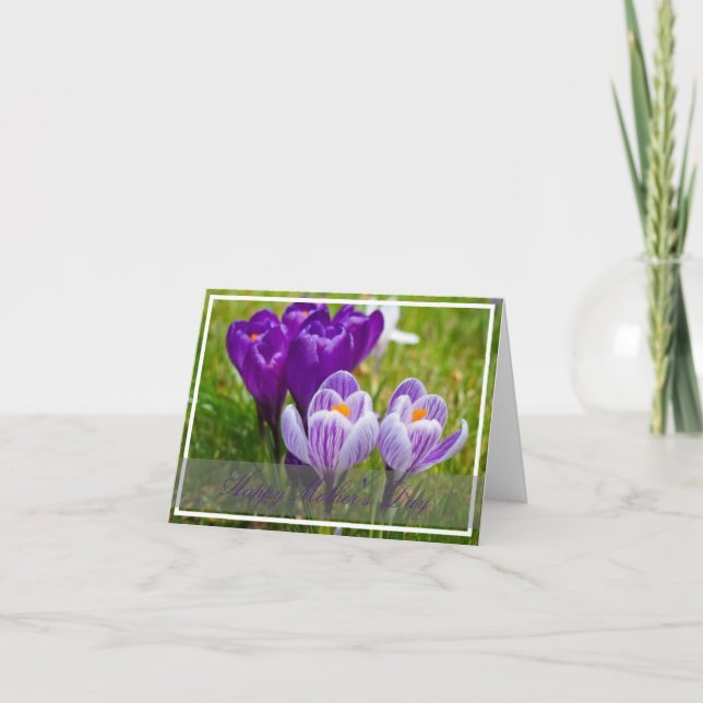 Carte à ressort Crocus (Devant)