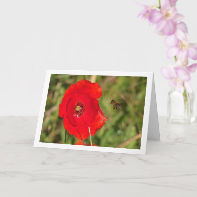 Carte Abeille de miel dans Red Poppy (Orchidée)