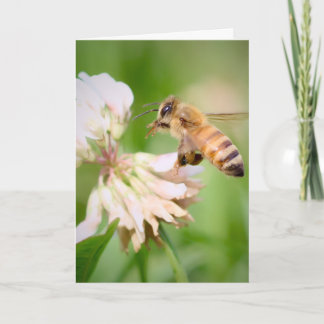 Carte Abeille en vol sur du trèfle blanc