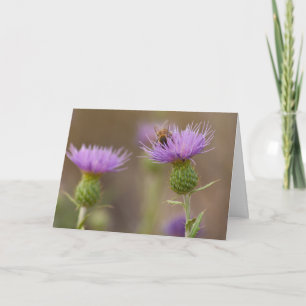 Carte Abeille Occupée sur Photo de Chardon Pourpre Félic