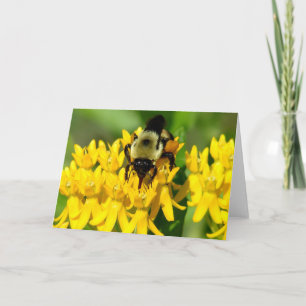 Carte Abeille se régalant de fleurs sauvages d'asclépiad