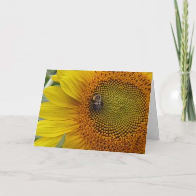 Carte Abeille S'installe (Devant)