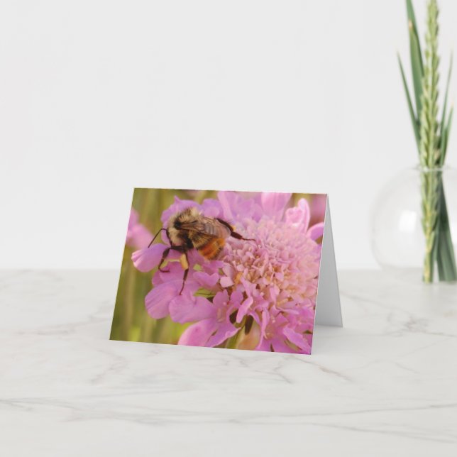 Carte Abeille sur la fleur (Devant)