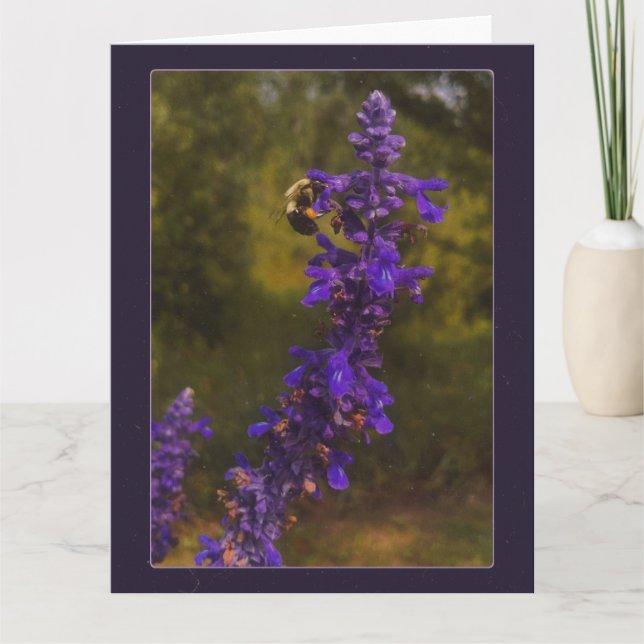 Carte abeille sur lavande  (Devant)