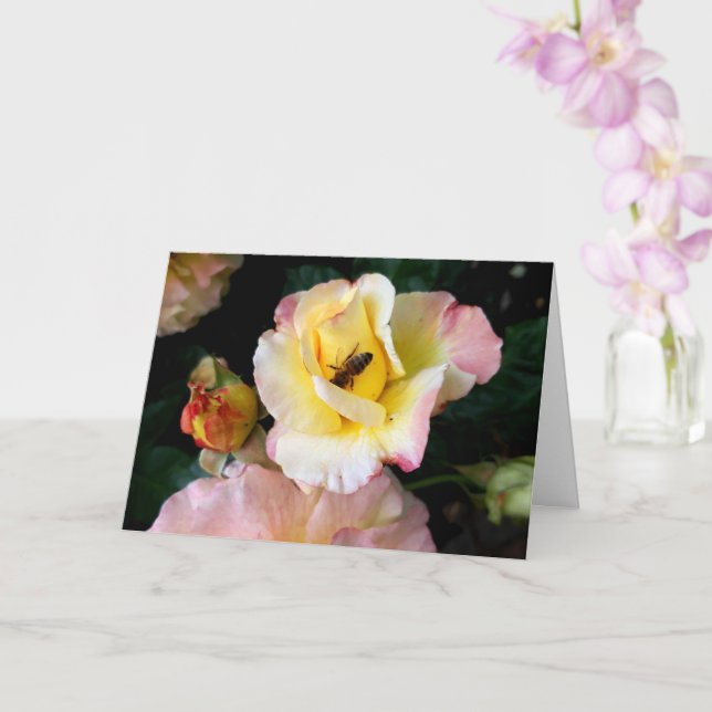 Carte Abeille sur roses rose jaune Fleurs (Orchidée)