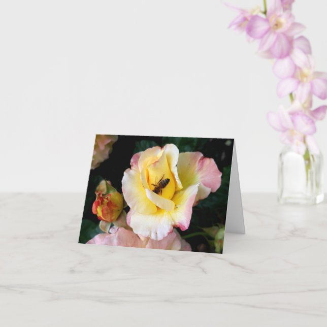 Carte Abeille sur roses rose jaune Fleurs (Orchidée)