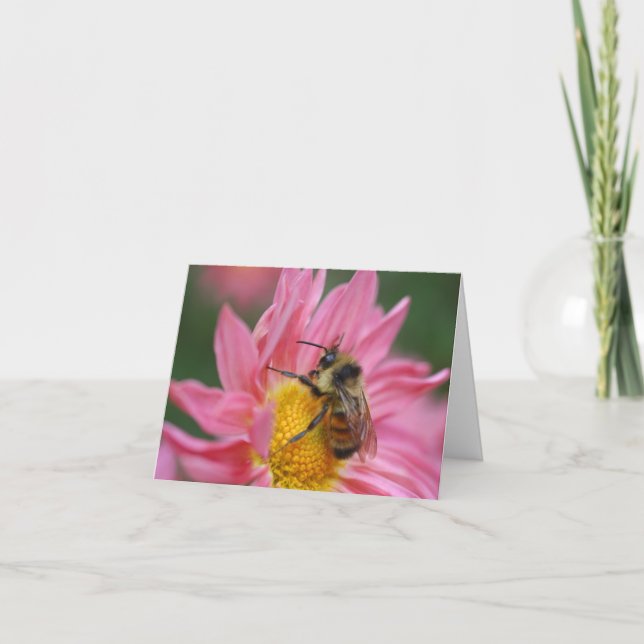 Carte Abeille sur une fleur de marguerite rose Note de p (Devant)