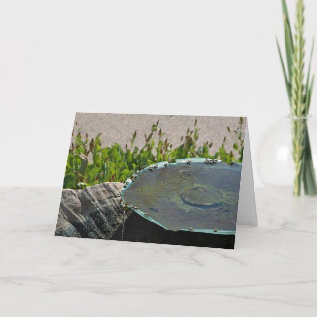 Carte Abeilles à boire, Phoenix, Arizona (Devant)