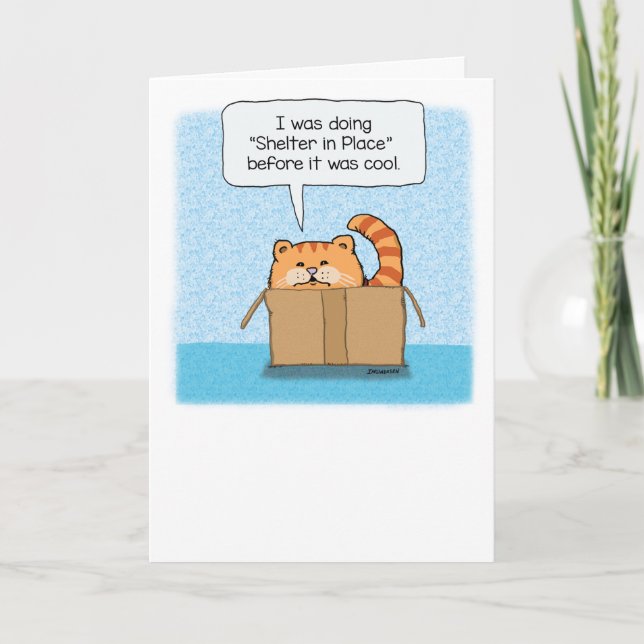 Carte Abri mignon et drôle en place Chat (Devant)