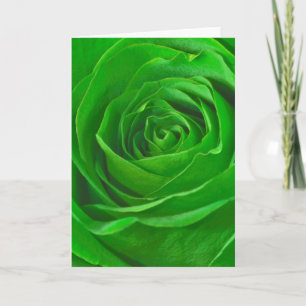 Carte Abstrait Emerald Green Rose Center Photographie